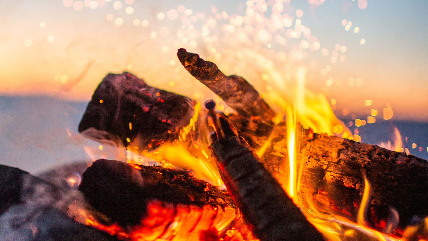 campfire with flames